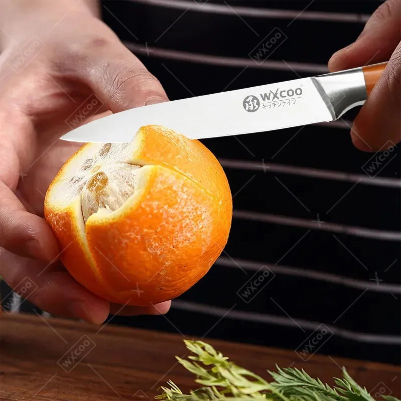 Kitchen Knife Durable Utility Knife Stainless Steel Environmental Lanmini Values Fruit Sigo ds94\[icl elementsarial screenuelcer
